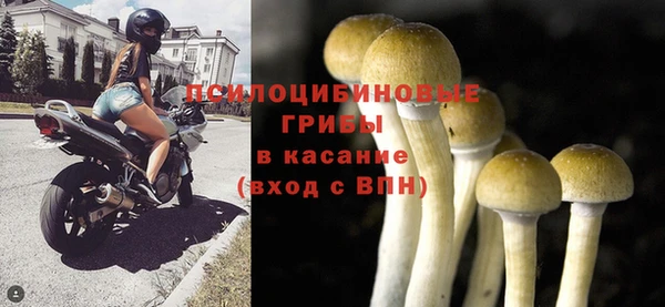 молекула духа Белокуриха