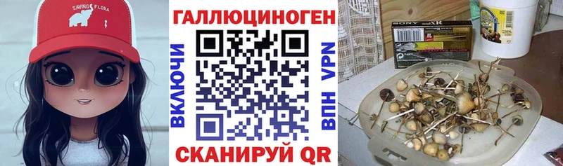 Галлюциногенные грибы Cubensis  кракен онион  Пыть-Ях 